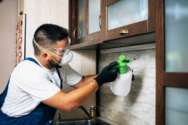 Insect Control in Bokeelia, FL
