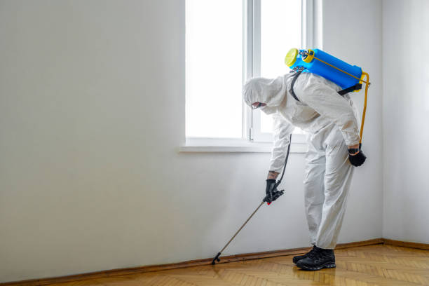 Best Mosquito Control Services  in Bokeelia, FL