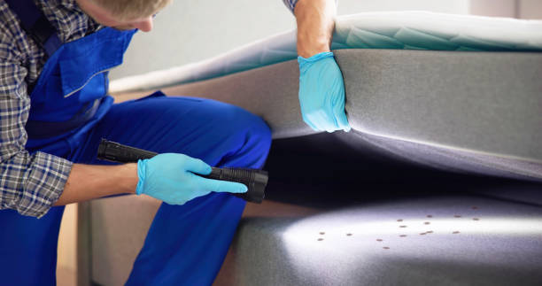Best Affordable Pest Control Services  in Bokeelia, FL