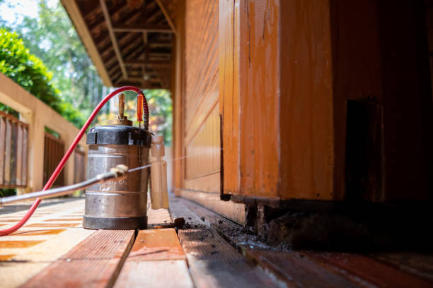 Best Insect Control  in Bokeelia, FL