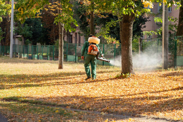 Best Pest Prevention Services  in Bokeelia, FL