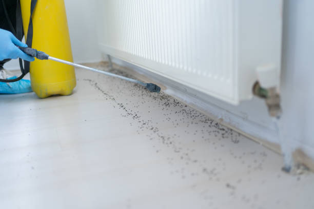 Best Pest Control for Restaurants  in Bokeelia, FL