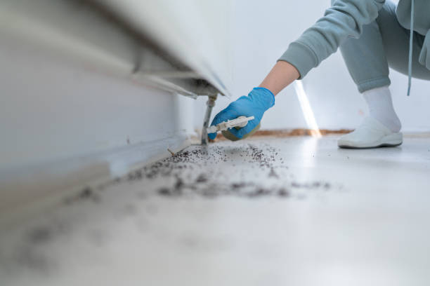 Best Residential Pest Control  in Bokeelia, FL