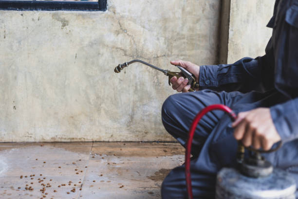 Professional Pest Control in Bokeelia, FL